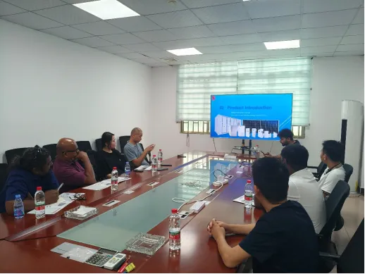 Across Mountains And Seas: Strengthening Energy Storage Partnerships FoUhw